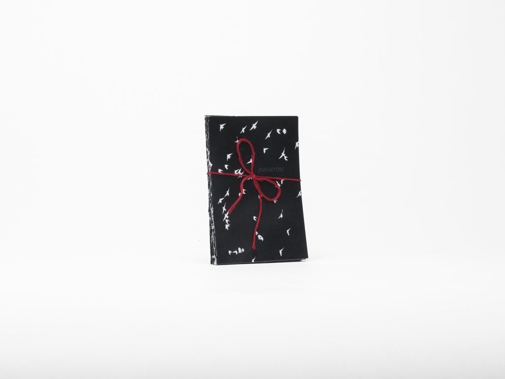 Printed paper folded like an accordion with an inverted white and black bird photo and red string bow on a white background