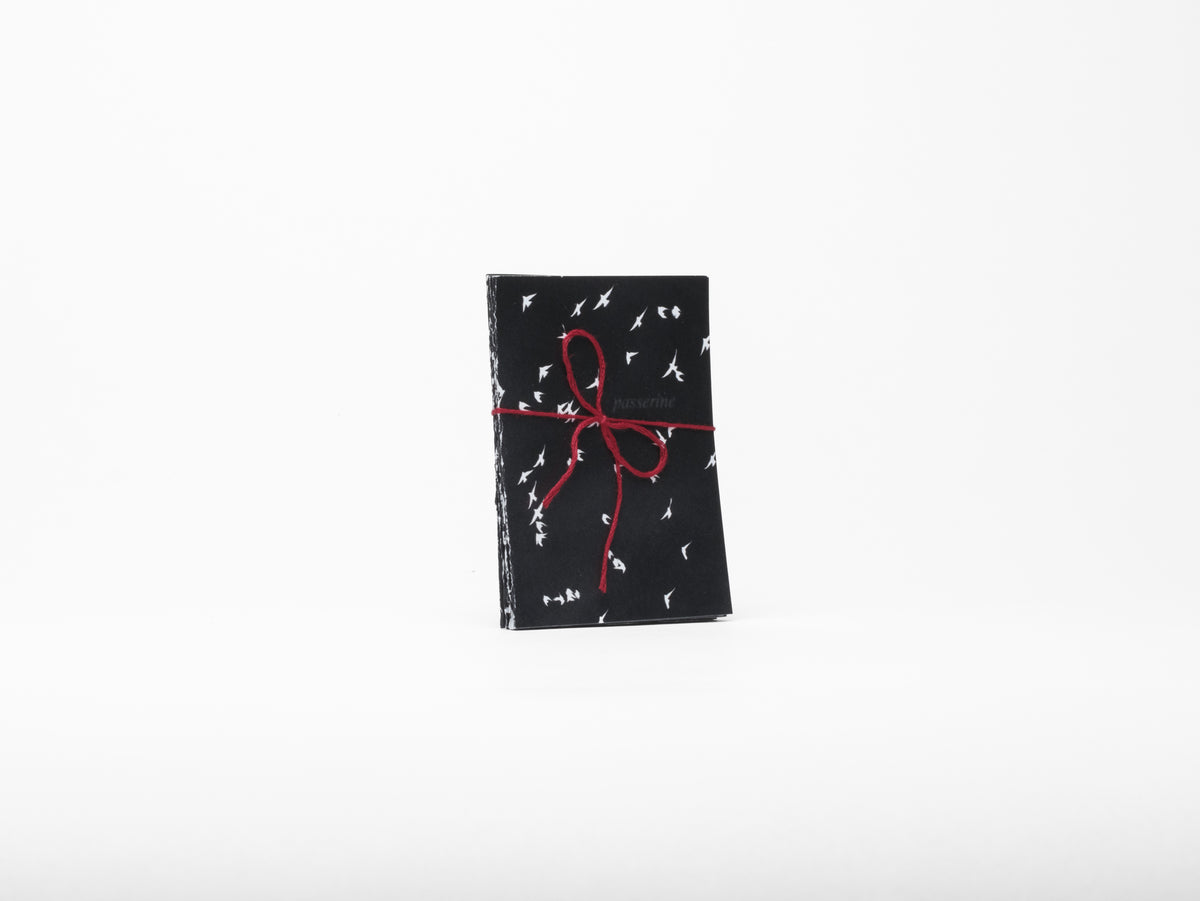 Printed paper folded like an accordion with an inverted white and black bird photo and red string bow on a white background