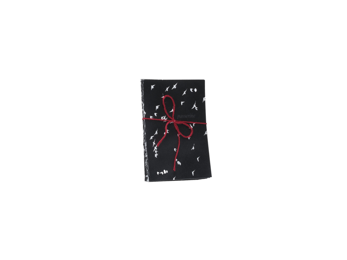 Printed paper folded like an accordion with an inverted white and black bird photo and red string bow on a white background