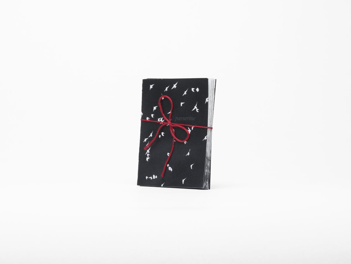 Printed paper folded like an accordion with an inverted white and black bird photo and red string bow on a white background