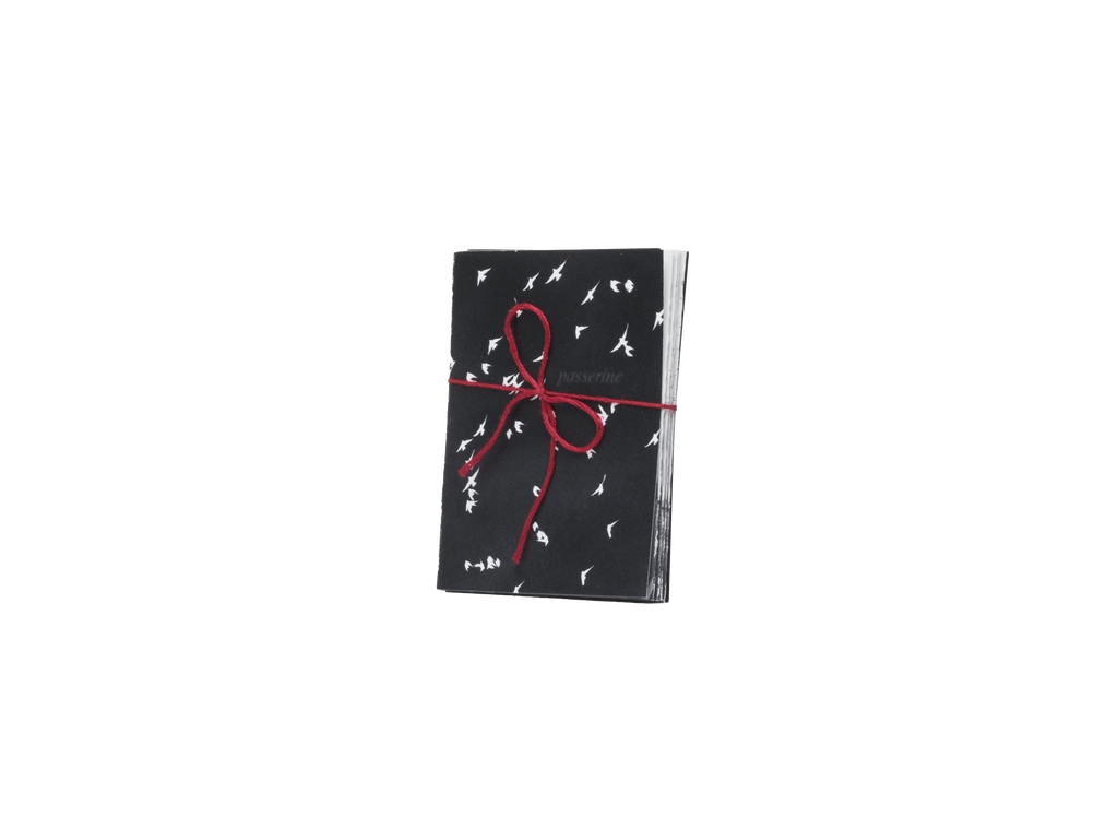 Printed paper folded like an accordion with an inverted white and black bird photo and red string bow on a white background
