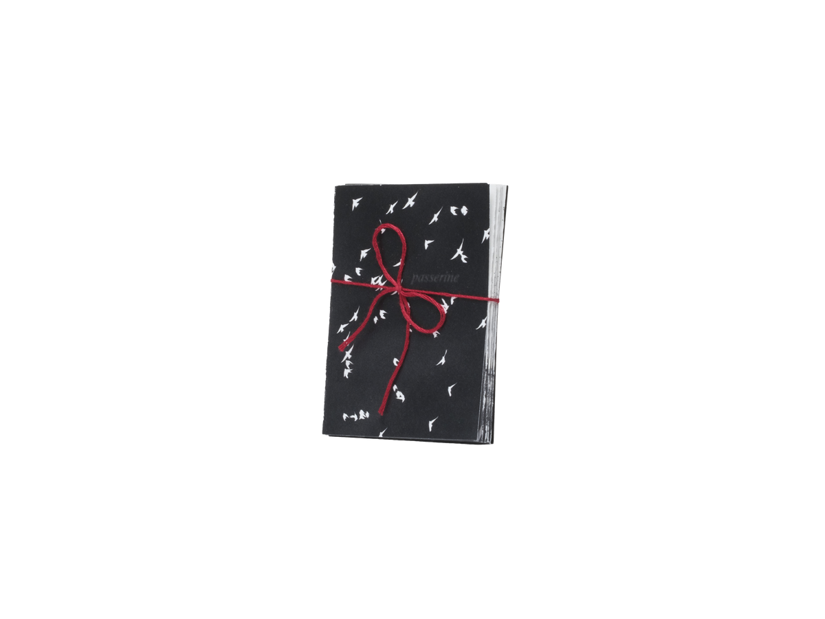 Printed paper folded like an accordion with an inverted white and black bird photo and red string bow on a white background