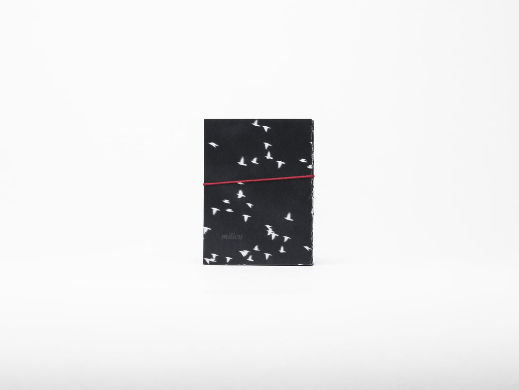 Printed paper folded like an accordion with an inverted white and black bird photo and red string bow on a white background