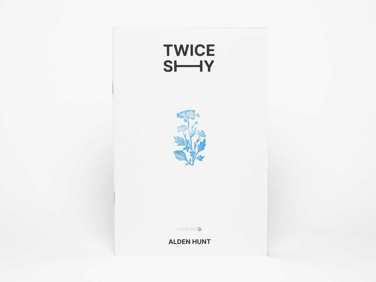 Twice Shy