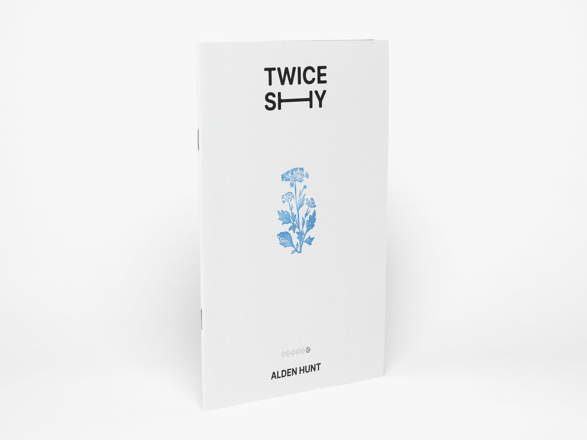 Twice Shy